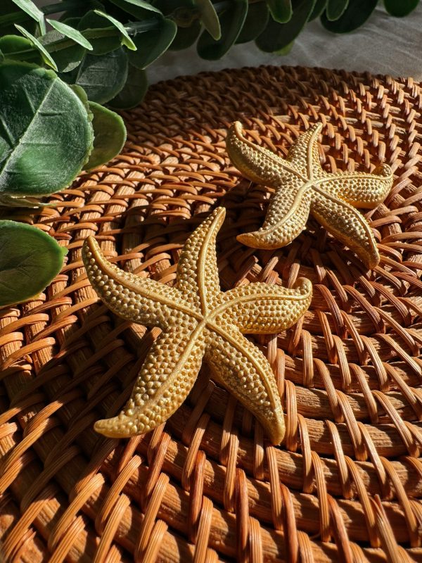 Colección Estrella de Mar - Imagen 2